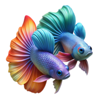 extraordinary contemporary A Pair of Fighting Betta Fish Vibrant Col genuine png