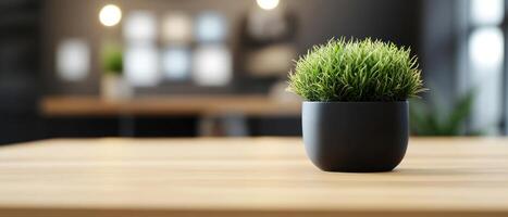 A small potted grass plant on a wooden table in a modern interior setting. photo