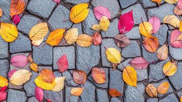 A vibrant display of autumn leaves scattered on cobblestone pavement. photo