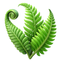 beautiful minimalist A Lush Green Fern Unfurling in a Rainfore exclusive png