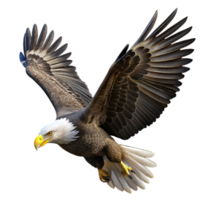 stunning rustic A Majestic Bald Eagle Soaring Through The high resolution png