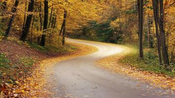 A winding road in the fall photo