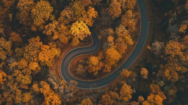 un aéreo ver de un devanado la carretera en el otoño foto