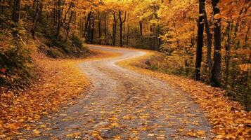 Autumn road in the woods with yellow leaves photo