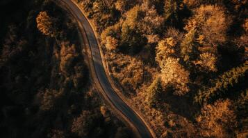 An aerial view of a winding road in the woods photo