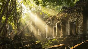 Sunlight shining through the trees at an ancient temple photo