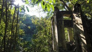 Ruins in the jungle photo