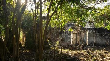 The ruins of an ancient temple in the jungle photo