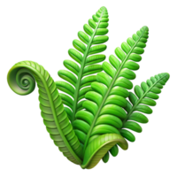impressive artistic A Lush Green Fern Unfurling in a Rainfore genuine png