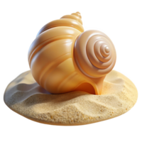 impressive modern A Close Up of a Seashell on the Beach Bri original png