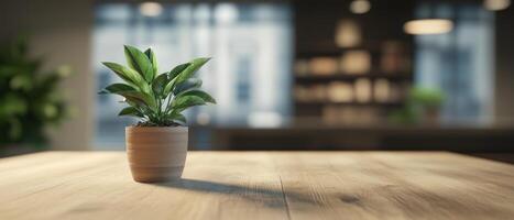A potted plant on a wooden table in a softly lit interior space. photo