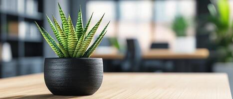 A potted succulent on a wooden table in a modern office setting. photo