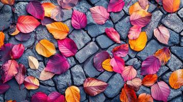 Autumn leaves on stone background photo