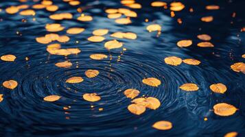 A close up of leaves floating in water photo