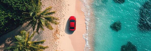 Aerial view of car on the tropical beach. Drone photography. photo