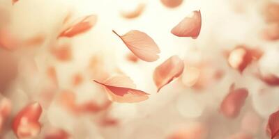 Soft sakura petals gently floating in air capturing spring serenity photo