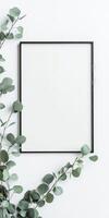 Minimalist modern certificate template design with eucalyptus leaves for professional presentation photo