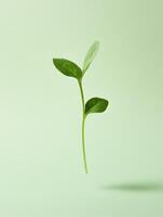 Minimalistic surreal studio shot of floating green plant on soft background photo