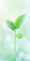 Fresh green sprout with dew drops macro shot for nature and growth themes photo
