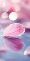 Macro view of a sakura petal with delicate reflection and soft bokeh background photo