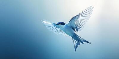 Graceful swallow soaring through clear blue sky in flight photo
