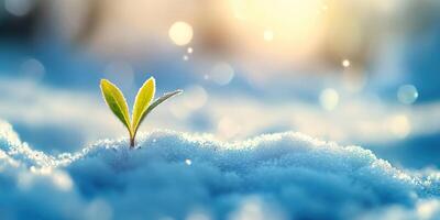 New life concept with a vibrant sprout emerging through fresh snow for inspiration and growth themes photo