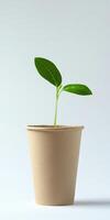 Eco friendly plant in biodegradable cup concept for sustainable living photo