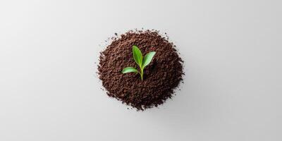 Modern branding mock up featuring a delicate sprout on soil for eco friendly design projects photo