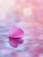 Tranquil sakura petal on rippling water surface in soft pastel pink photo