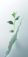 Growth concept with plant emerging through surface for inspirational design photo