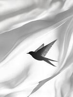 Swallow shadow silhouette on flowing fabric symbolizing freedom and grace photo