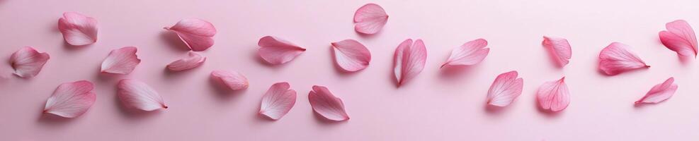 Elegant cherry blossom petals seamlessly arranged on soft pink background photo