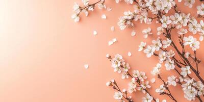 Minimalistic horizontal invitation mock up with cherry blossom branches on peach background photo
