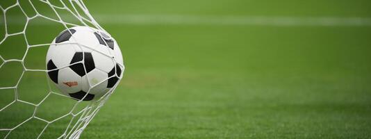 A soccer ball is sitting in the goal net photo