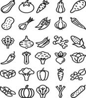 Veg Icons Bundle Set with Fresh and Healthy Vegetable Illustrations vector
