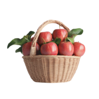 Fresh red apples in a rustic woven basket with leaves fall food on transparent background png