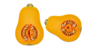 squash . honeynut squash top view . butternut squash flat lay isolated. Whole and sliced honeynut squash on a clean background, perfect for organic food visuals. squash vegetable organic png