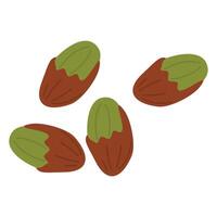 Open Pistachio Nut in Hard Shell Isolated Pistache vector