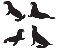 funny Seal Animal Silhouette in Various vector