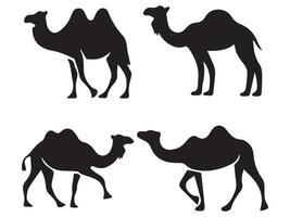 Set of Camel Silhouettes Various Poses Bundle vector
