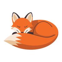 Foxe in Different Poses Wild Red Fox vector