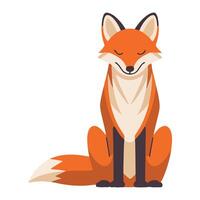 Set of Foxes in Different Poses Wild Red Fox vector