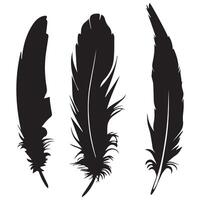 Feathers silhouette set icon vector