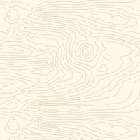 Wavy outlone simple pattern. Wood grain texture. Dense lines. Abstract topographic background vector