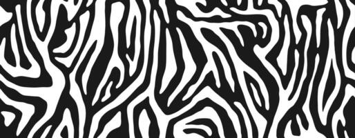 Zebra fur, stripe skin background, animal pattern. Black and white seamless texture vector