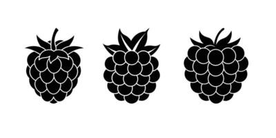 Fresh Raspberry Illustration with Leaves Realistic and Juicy Design. Hand Drawn Raspberry Set High-Quality Clipart. Vibrant Fruit with Splash Perfect for Branding Pack vector