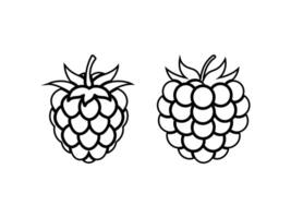 Fresh Raspberry Illustration with Leaves Realistic and Juicy Design. Hand Drawn Raspberry Set High-Quality Clipart for Digital Use. Vibrant Fruit with Perfect for Branding Pack vector