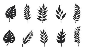 A selection of black leaf outlines presented as a single collection. vector