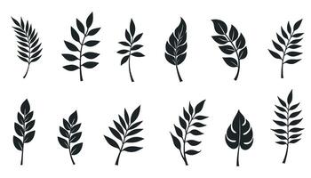 A collection of black leaf silhouettes arranged in a unified set. vector