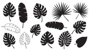 A set of dark leaf silhouettes displayed in a minimalist design. vector